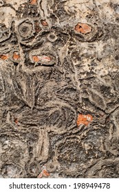 Patterns on the walls
