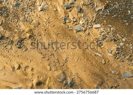 Patterns of pebbles in brownish silt.