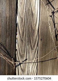 Patterns In A Plank Of Wood In An Old Outdoor Redwood Fence 