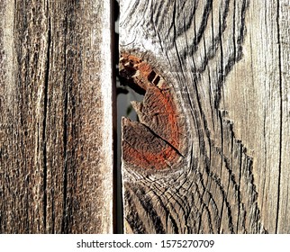 Patterns In A Plank Of Wood In An Old Outdoor Redwood Fence 