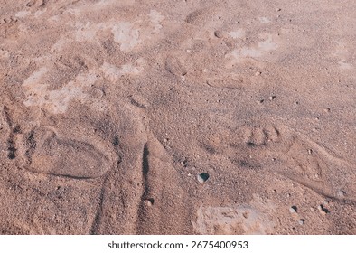 Patterns in the Sand, This image showcases various patterns created in fine grains of sand, posibly showcasing footprint or artistic designs.