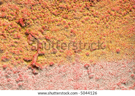 Patterns of spray-paint in a paintshop usefull for backgrounds