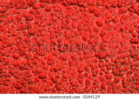 Patterns of spray-paint in a paintshop usefull for backgrounds
