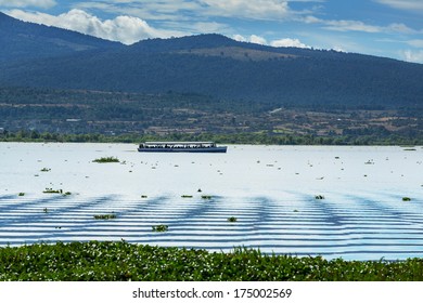  Patzcuaro Lake In Mexico