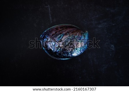 Paua shell on a black background. Paua is Maori for abalone.