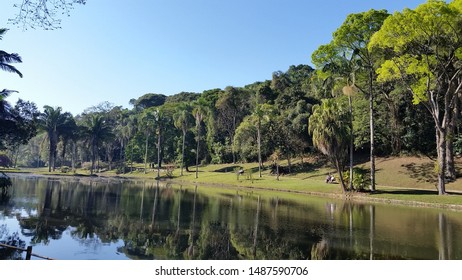 São Paulo, Brazil - 25th August 2019: Botanic Garden Of São Paulo. It Opened Its Doors In 1928. It Hosts A Wide Variety Of Animals And Plants And Is Managed By The University Of São Paulo.