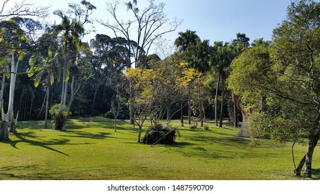 São Paulo, Brazil - 25th August 2019: Botanic Garden Of São Paulo. It Opened Its Doors In 1928. It Hosts A Wide Variety Of Animals And Plants And Is Managed By The University Of São Paulo.