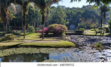 São Paulo, Brazil - 25th August 2019: Botanic Garden Of São Paulo. It Opened Its Doors In 1928. It Hosts A Wide Variety Of Animals And Plants And Is Managed By The University Of São Paulo.