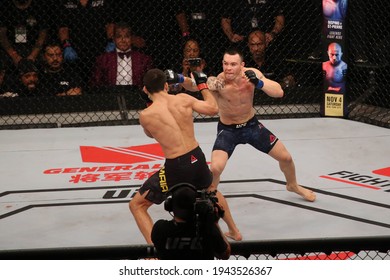 São Paulo, São Paulo, Brazil, October 28, 2017. UFC Fight Night: Brunson Vs. Machida. Middleweight Category Fight – Demian Maia Vs. Colby Covington. 