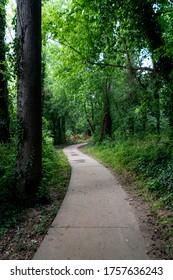 A paved concrete walkway going through a green forest