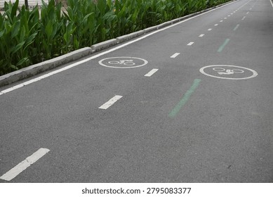 A paved cycling path features white bicycle symbols and dashed lines, bordered by vibrant green plants and a concrete curb