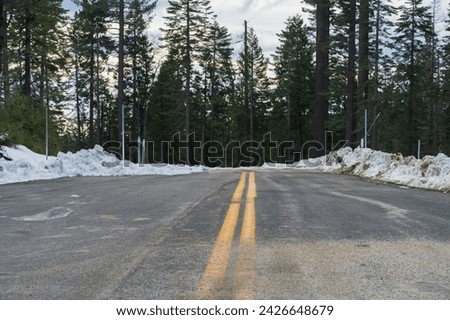 Paved, dry road leading into forest during winter.  Snow on sides of road.  
