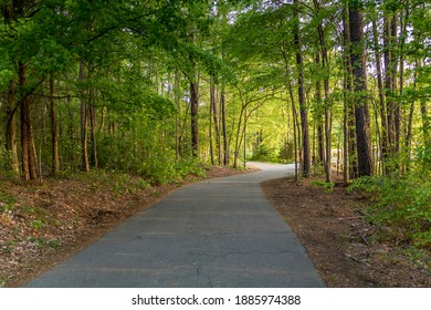 Paved Greenway Path Through The Woods