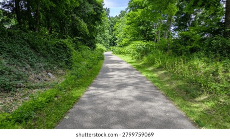 Paved multi-use trail winding through a green summer forest