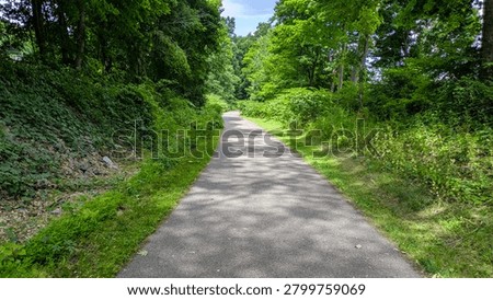 Paved multi-use trail winding through a green summer forest