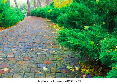 Paved path