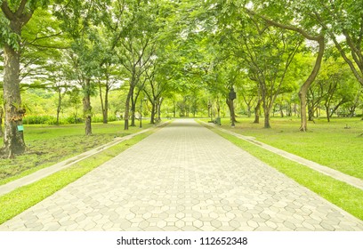 Paved Path in a Beautiful Formal Garden - Powered by Shutterstock