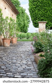 Paved path in a charming garden