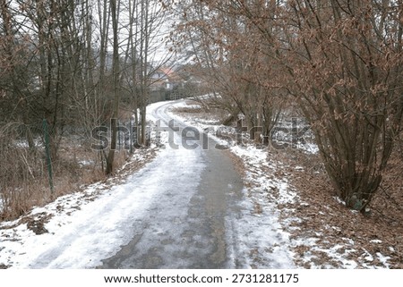 A paved path curves through a wintry landscape. Bare trees line the route, their branches devoid of foliage. Snow covers the ground alongside the path - Plzen, Czech - Jan,25,2026