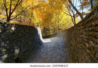A paved path meanders under maple trees with sunlight shining thru the foliage in Karuizawa Stone Church, which is a famous architecture and popular tourist attraction in Nagano Prefecture, japan