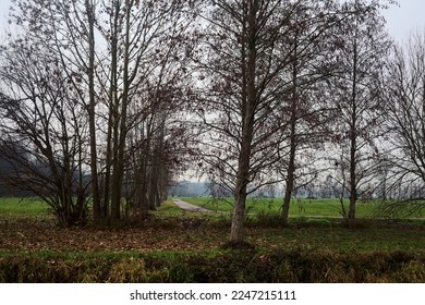 Paved  path on a cloudy day in the countryside framed by bare trees