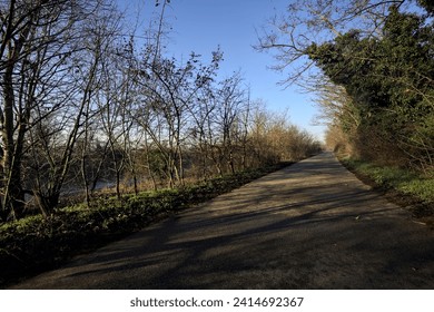 Paved path in a park