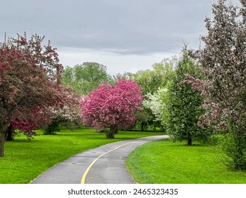 paved path through blossoming trees