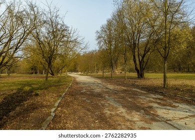Paved path through a public park on a cloudy day.