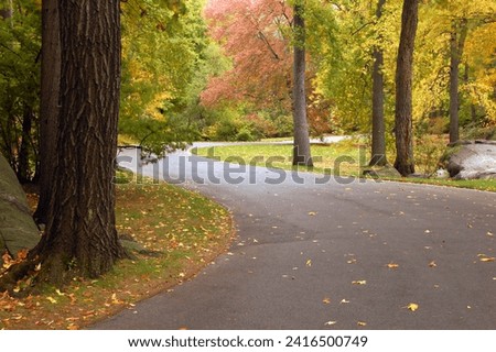 A paved path winds between tall trees with colorful autumn foliage in a beautiful park on a fall day