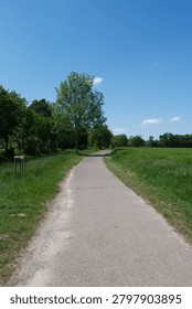 Paved path winds through a lush park. Tall trees frame the pathway. Bright green grass lines both sides. The sky is clear and blue with soft clouds. This tranquil scene invites relaxation