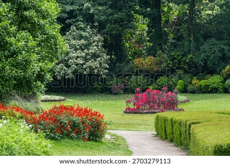 Paved Pathway Bordered by Manicured Hedges and Vibrant Red Flower Beds