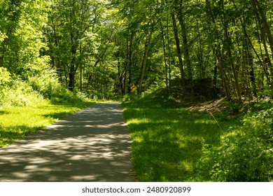 A paved pathway winds through a lush green forest, sunlight dappling through the trees.