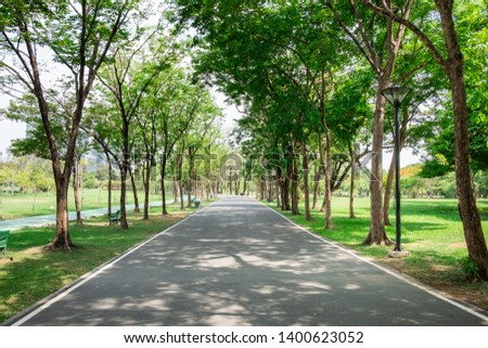 Paved pathways in the Park.
