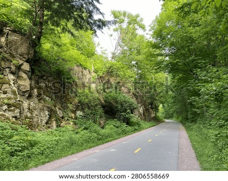Paved Rail Trail Through a Forest Near Burlington, Vermont

A paved recreational trail winds through a lush green forest near Burlington, Vermont. Towering trees, exposed rock formations, and peaceful surroundings create a scenic destination for walking, running, and cycling in New England.