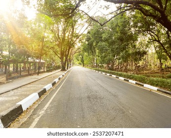 A paved road lined with lush green trees in a tropical setting with sunlight filtering through the branches. - Powered by Shutterstock