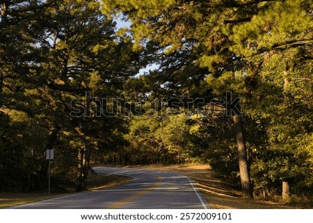 Paved road lined with trees leading into Sequoyah State Park in Hulbert, Oklahoma, USA