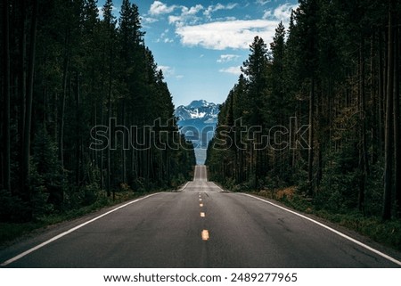 Similar – Image, Stock Photo Road with trees at the edge and meadow