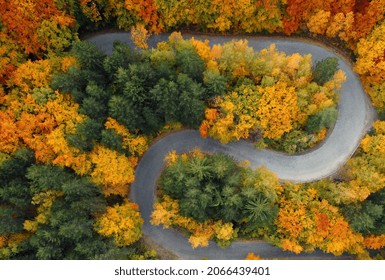 Paved S Curve Road In Autumn Colors In Vitosha Mountain