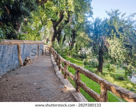 Paved stone pathway winds through a lush public park featuring rustic wooden railings and dense green trees under bright daylight during a peaceful summer afternoon walk