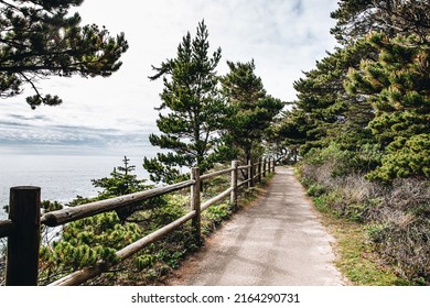 Paved Trail Along The Oregon Coast