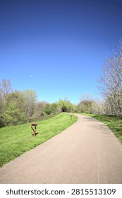 Paved trail bordered by a row of bare trees on the top of an embankment, with street lights on its edge, seen on a sunny day