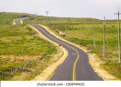 Paved two-lane road, Sir Francis Drake Boulevard, which leads to historic Point Reyes Lighthouse, across hilly grassland along Point Reyes National Seashore in northern California, USA, in spring