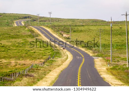 Paved two-lane road, Sir Francis Drake Boulevard, which leads to historic Point Reyes Lighthouse, across hilly grassland along Point Reyes National Seashore in northern California, USA, in spring