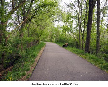 Paved Walking And Cycling Path Running Through The Forest. Well Maintained With Empty Bench In The Center. Taken In Portland, Michigan Around Mid-May. No People.