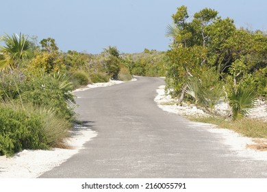 Paved Walking Path On The Island Of Half Moon Cay