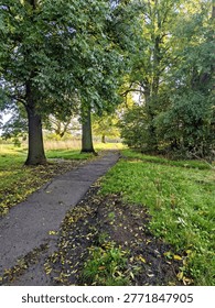 Paved walking path winding through large green trees in Hampstead Heath park during autumn in London.