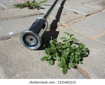 Pavement Care. Gas Weed Burner. Tool For Organically Removing Weeds, For Igniting Charcoal, Thawing. Environmentally Friendly Weed Killer.