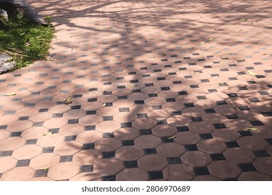 Pavement with leaf fall and shadow of trees on floor in garden background