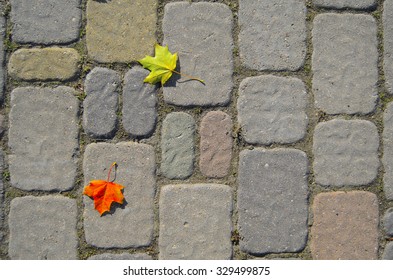 Pavement with two bright vivid fallen leaves. Autumn background. - Powered by Shutterstock