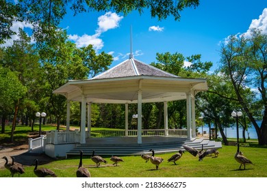 Pavilion With Wild Canadian Geese On The Lawn